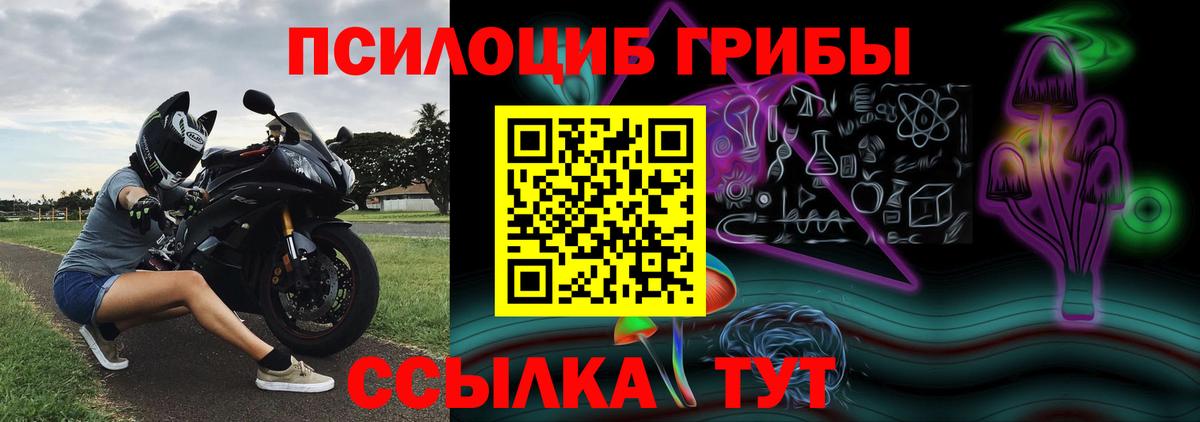 Галлюциногенные грибы мицелий Чебаркуль