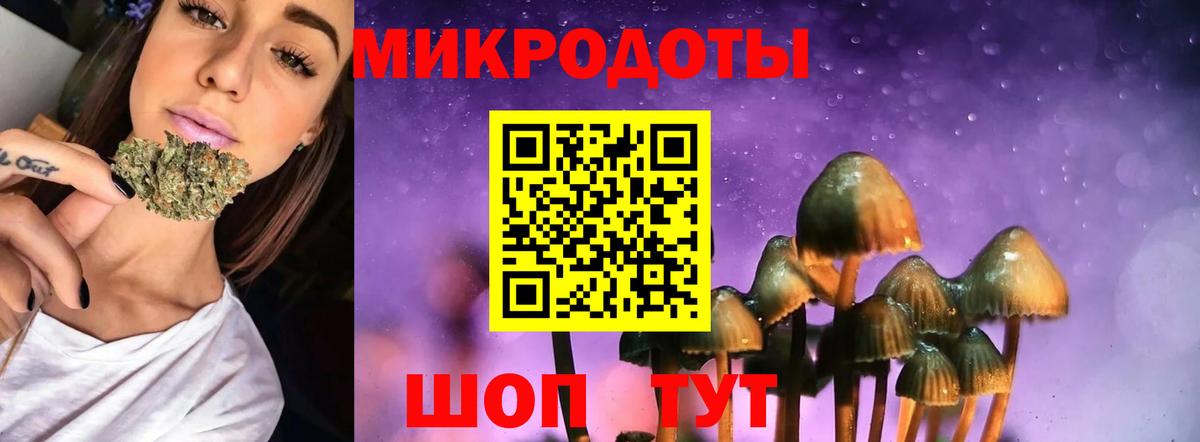 Чебаркуль  Псилоцибиновые грибы MAGIC MUSHROOMS  Галлюциногенные грибы Cubensis  где купить наркоту  Вход с VPN 